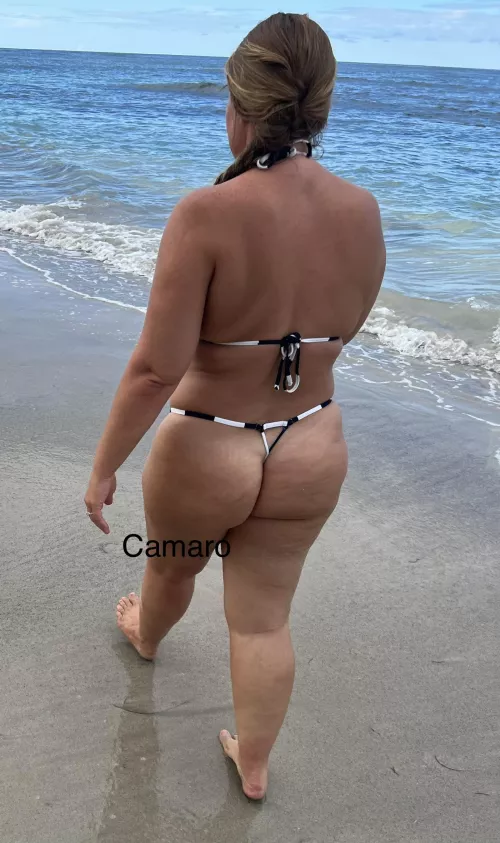 Favorite sailor stripe bottom by 68chevycamaro