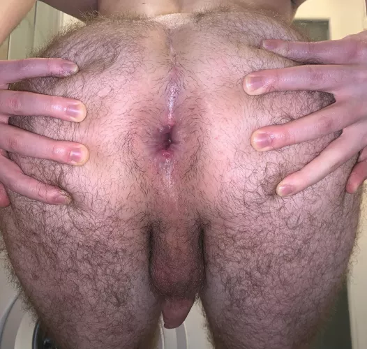 feed me (21) by dan_thebottm