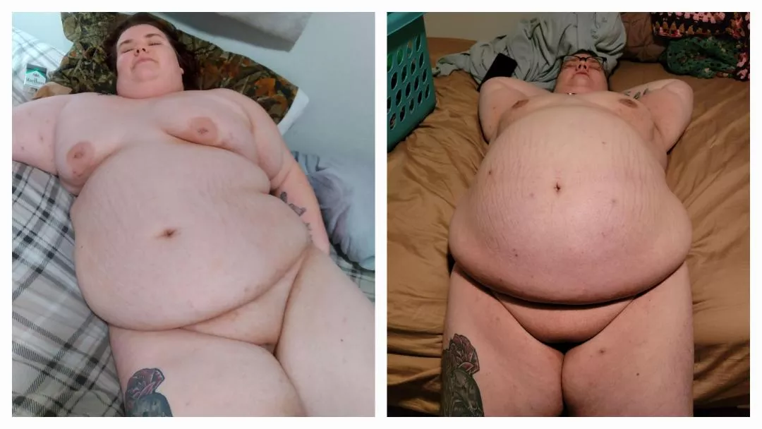 Feedee.octavia posted by Legitimate-Hippo-560