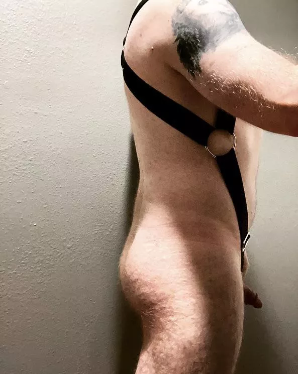 Feelin’ hot in my cock ring harness. posted by GingerPollo