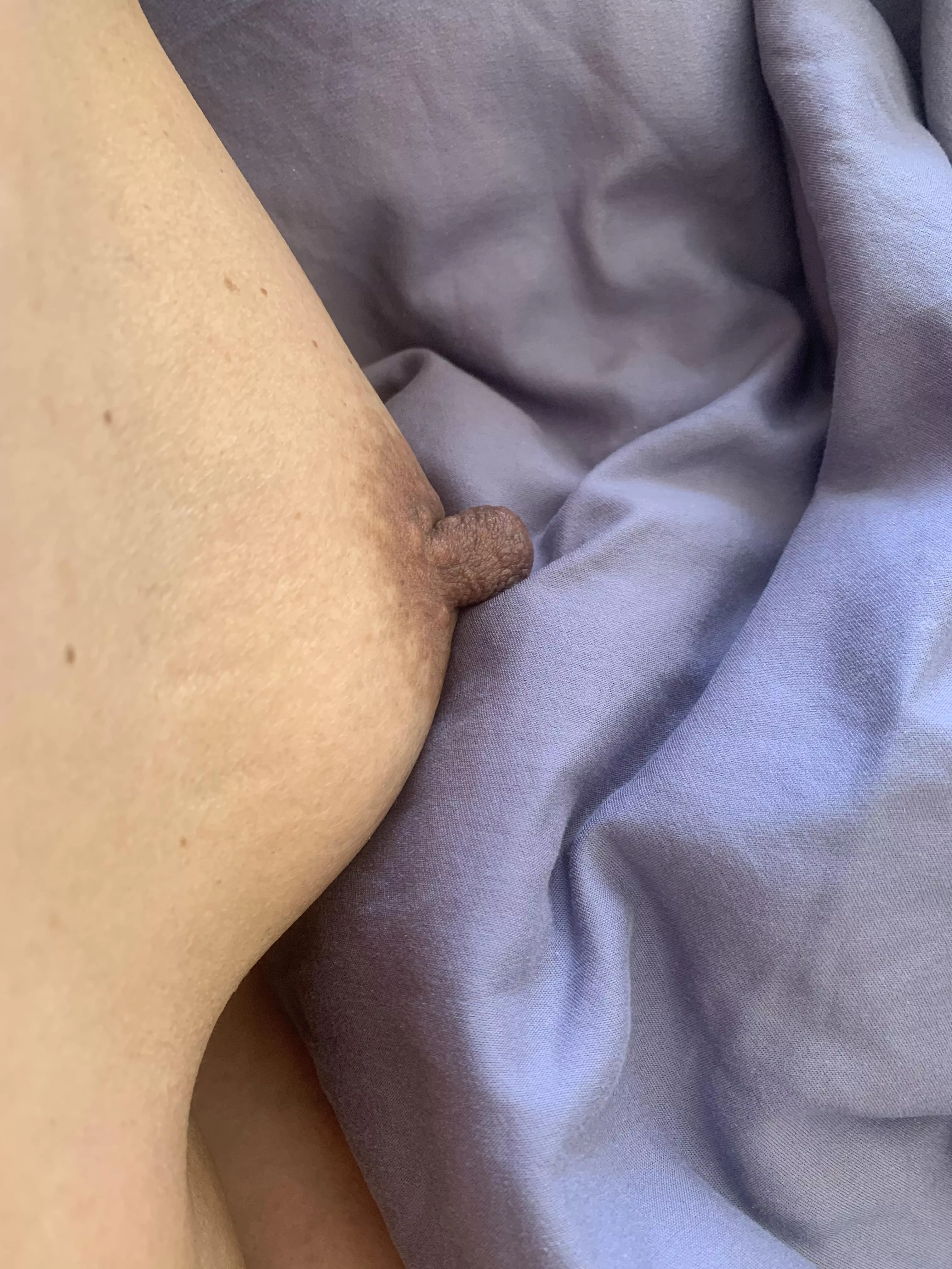 Feelin’ perky posted by wogmen68