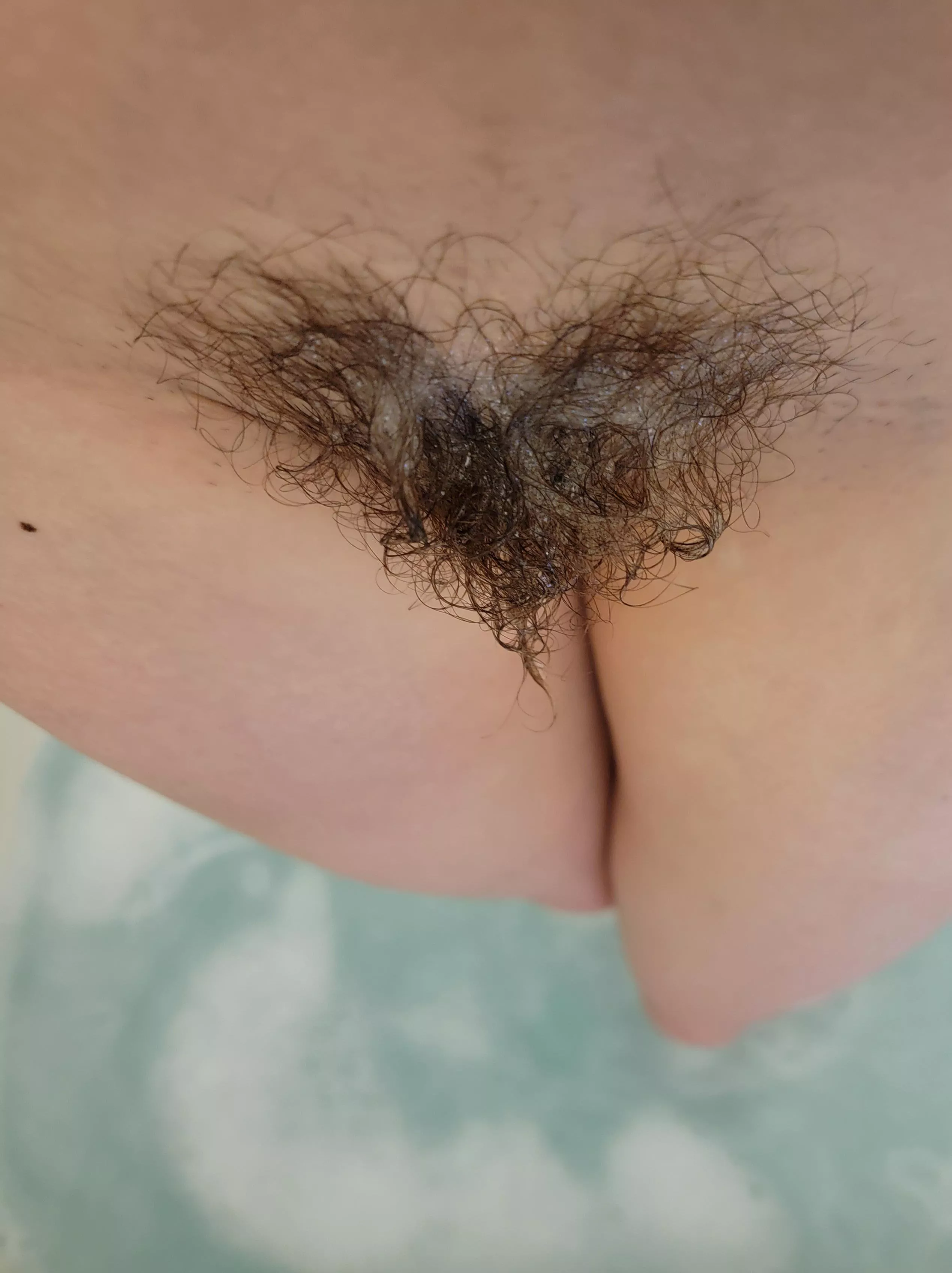 feeling bubbly this morning posted by arthoe_louise