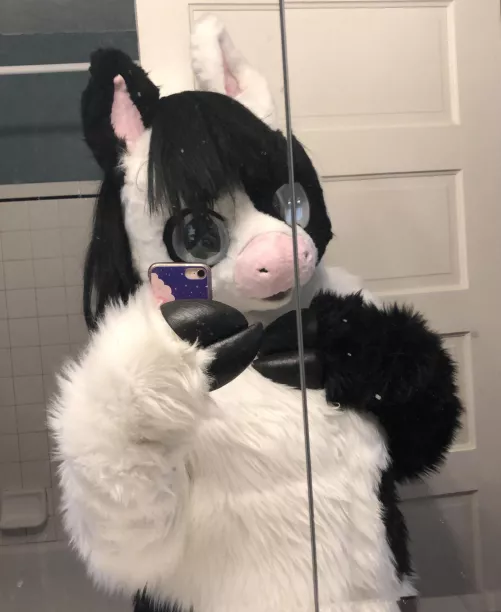 Feeling cute <3 by Splash_the_doggo