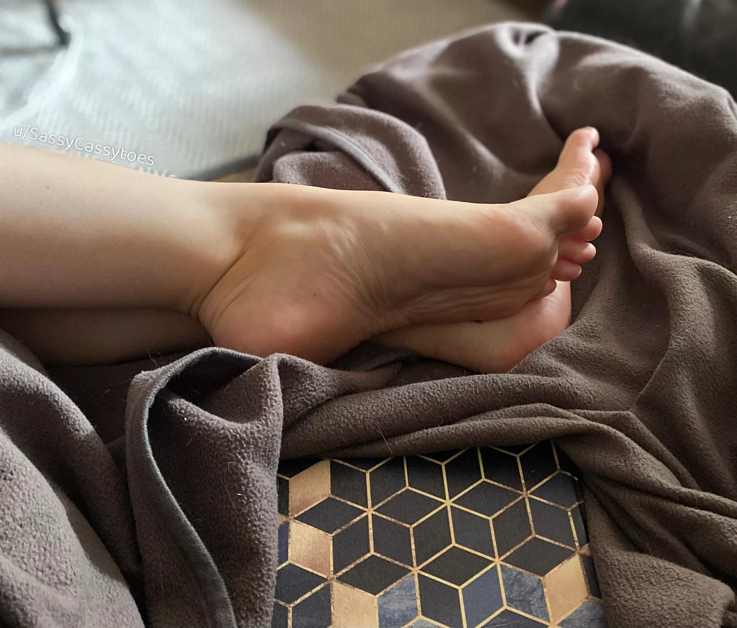 Feeling cute, might delete later 🦋 posted by SassyCassytoes