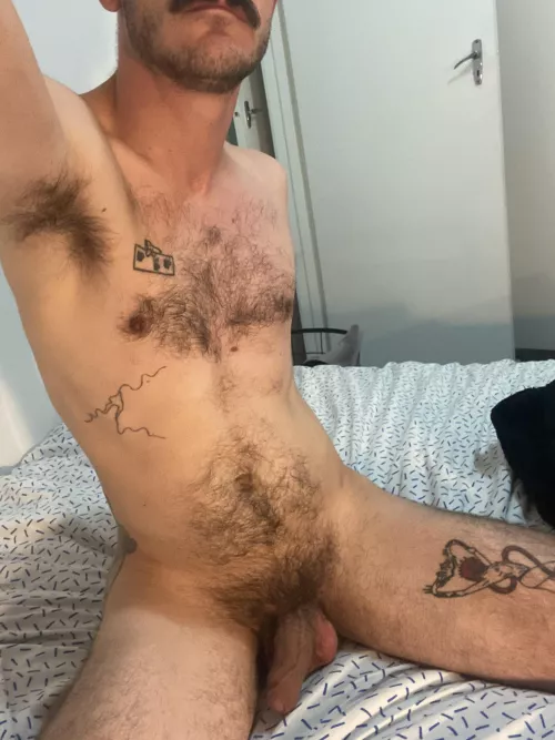 Feeling frisky by funeraire