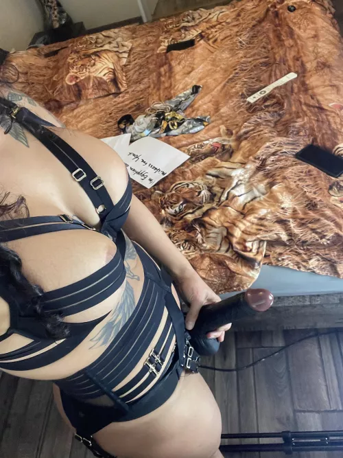 Feeling frisky… ready to be my little boy toy? by Mistress_Cleopatra