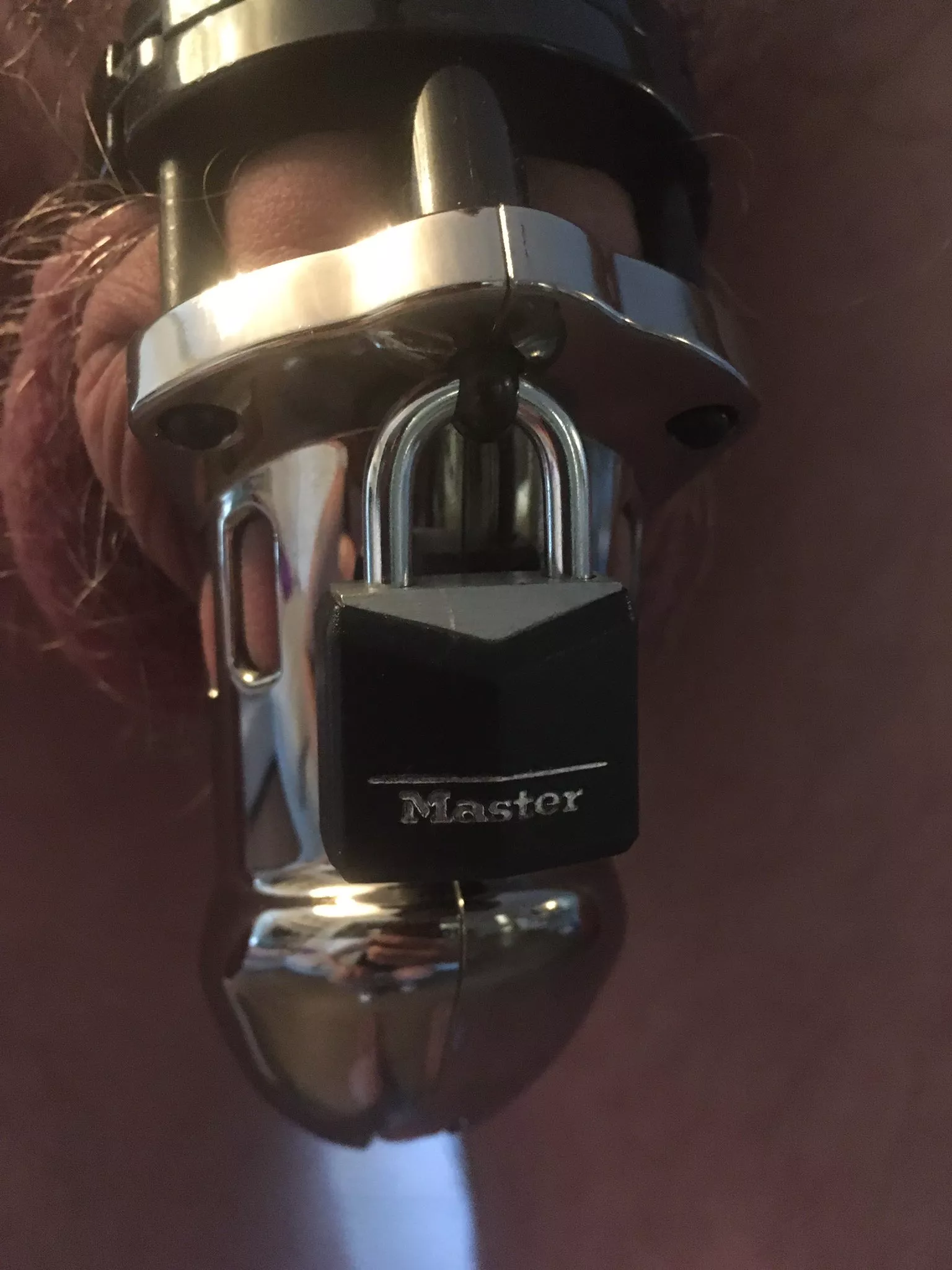 Feeling happy in my cage today 🥰 posted by Ok-Scene-2375