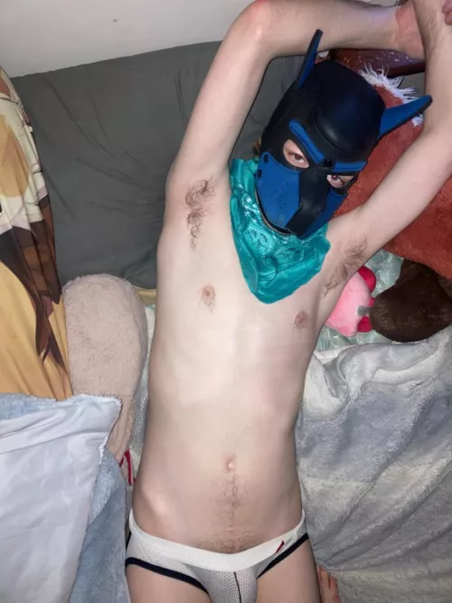 Feeling lazy… by PuppyArchie