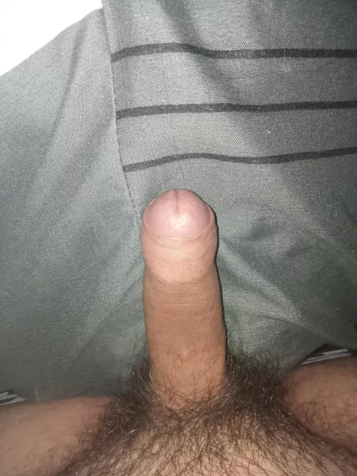 feels good rubbing it against a pillow 😙 [18] by lilhornyguyy