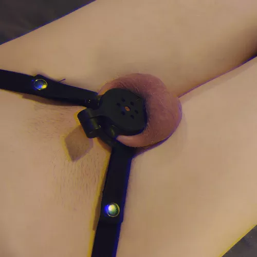 feels like i don't even have a cock anymore... i love it🧚‍♀️ by badbad17112