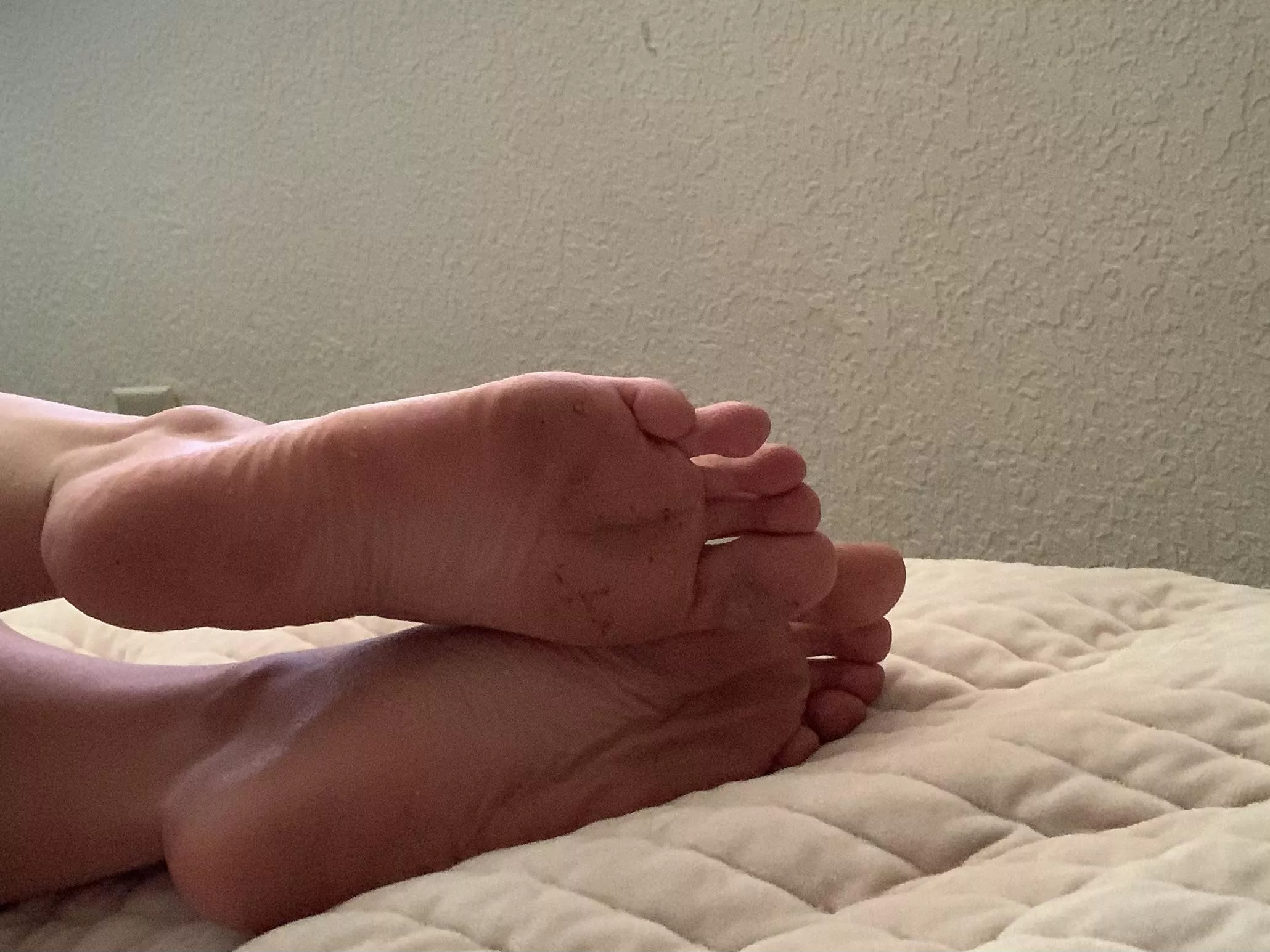 Feet in bed is the best place posted by sam71foss