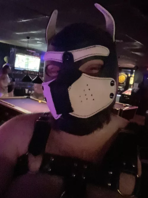 Felt cute the other night at our local bar! by BrandonTDON