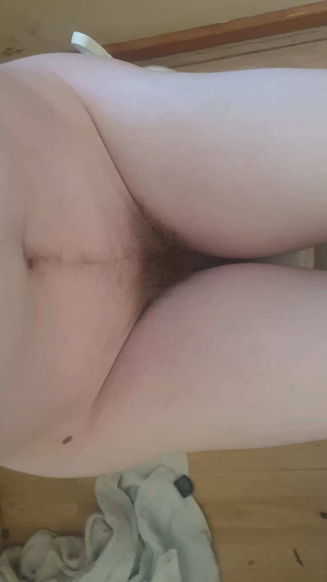 felt Horny lol posted by egg-ington