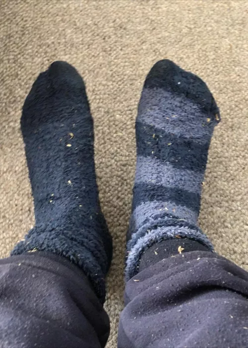 [female] The sweat and smell on these I’ve even had to bag them up there that bad best ones yet 😈 by Xxcatthyx