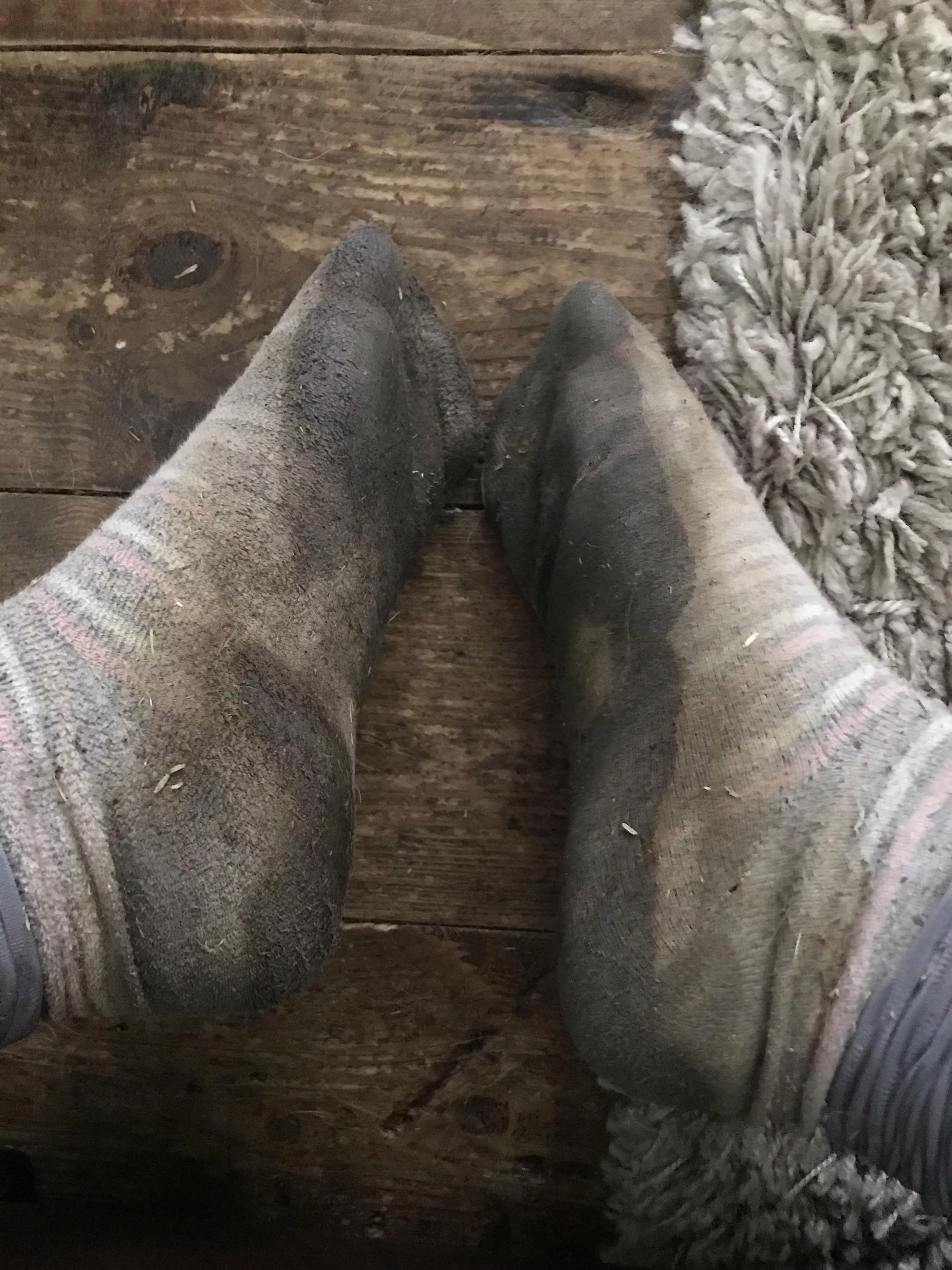 [female] Week old and these smell beautiful 😈 could you handle them posted by Xxcatthyx