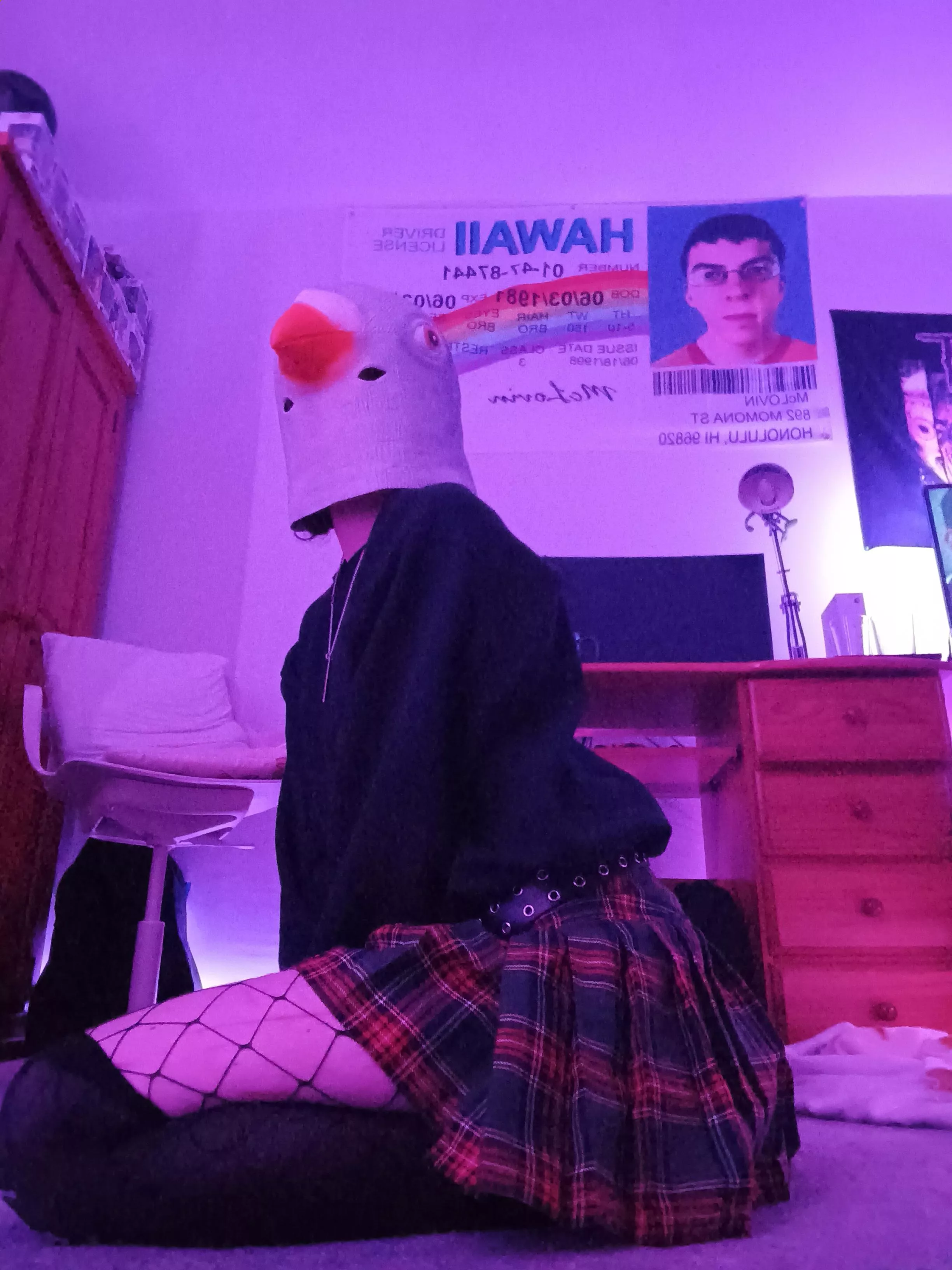 femboys < femboy pigeons posted by 53ORCHARD