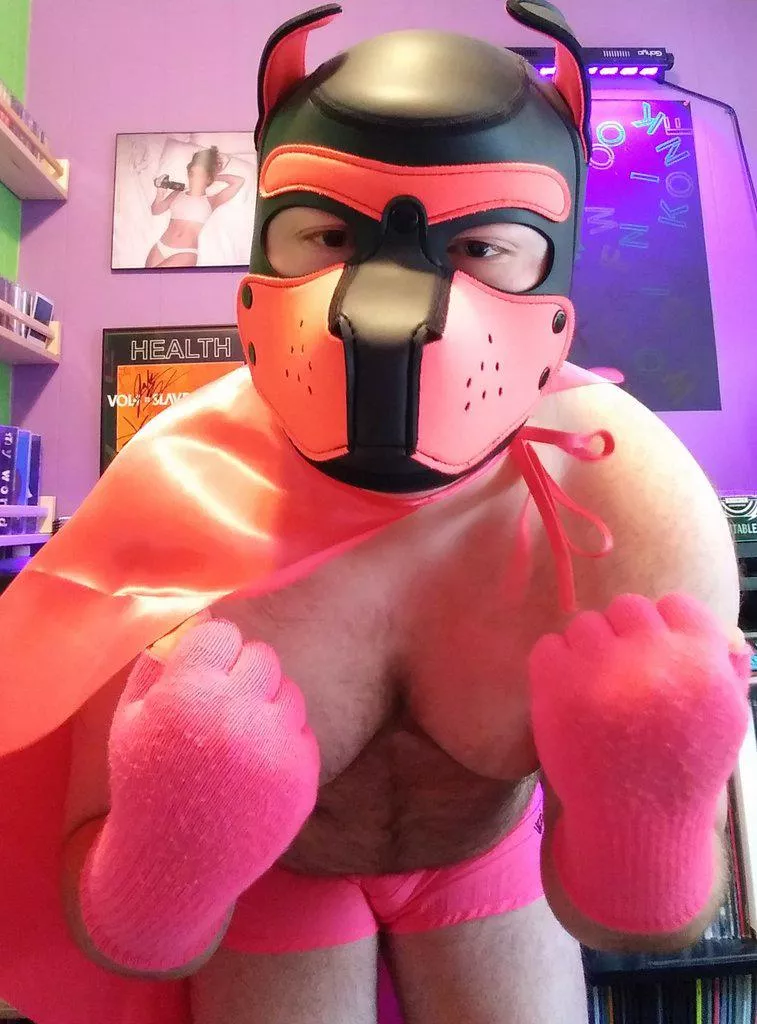 fight me 👊 posted by puppiggy