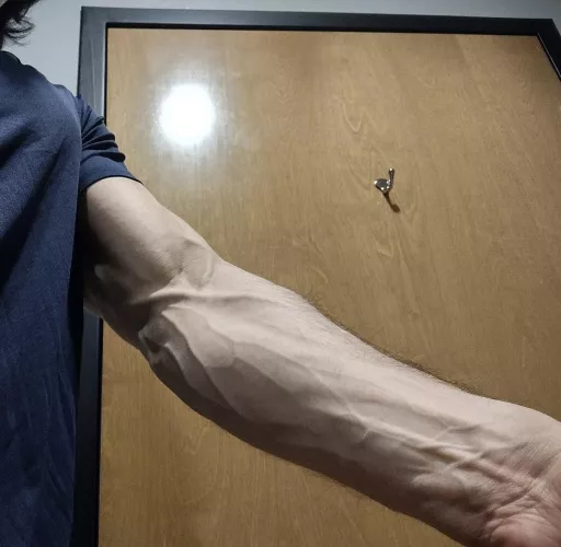 figured I would post the veins! they look decent today by GymBroly