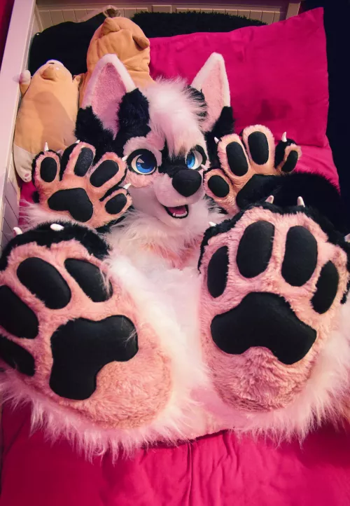 Finally got my fursuit. I have achieved BEANS by LogiPone