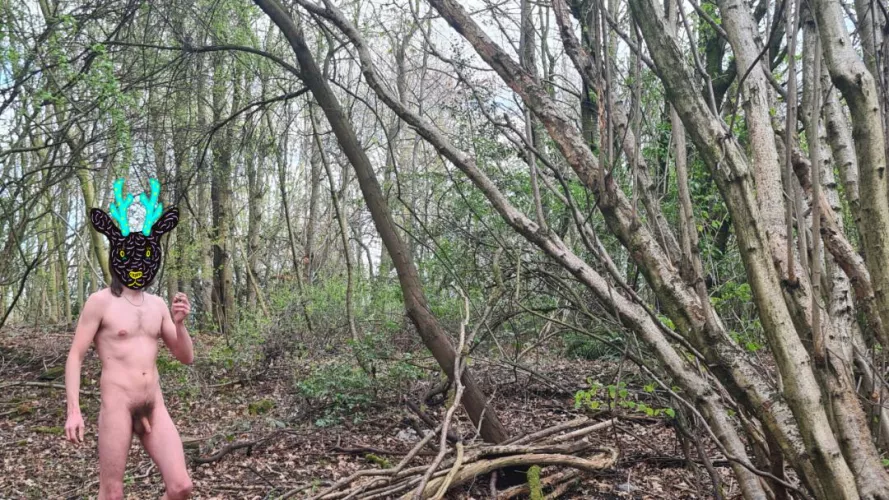 Finally, I'm starting to get more cover in these woods! by LongLeggedMackDaddy4