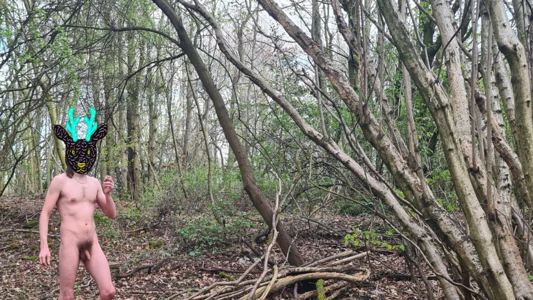 Finally, I'm starting to get more cover in these woods! posted by LongLeggedMackDaddy4