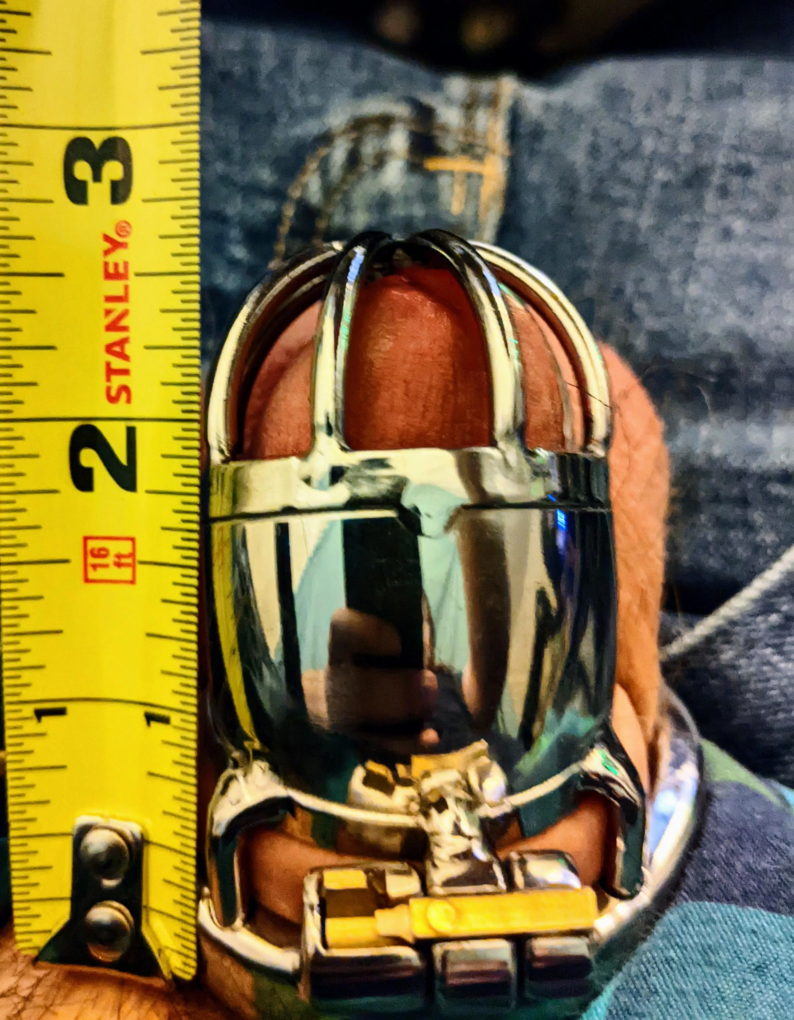 Finally locked in a cage. Any thoughts? posted by FeatureAdditional738