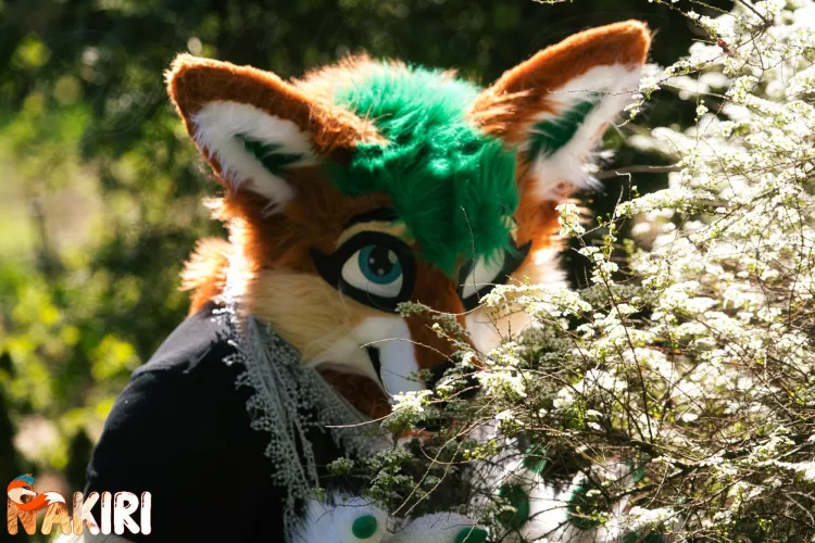 Finally spring time! So much good smelling flowers 💐 and sun ☀️. It seems like i got the spring fever! ❤️ by FurryFoxxyStream