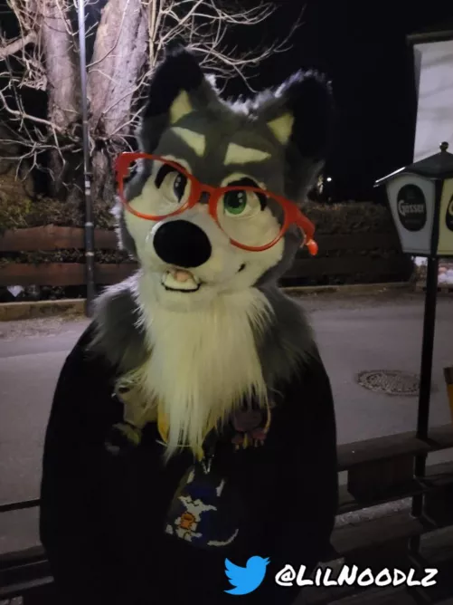 Finished making my First Fursuit and rocked it at a Furmeet in Linz🇦🇹! x3 by LilNoodlz