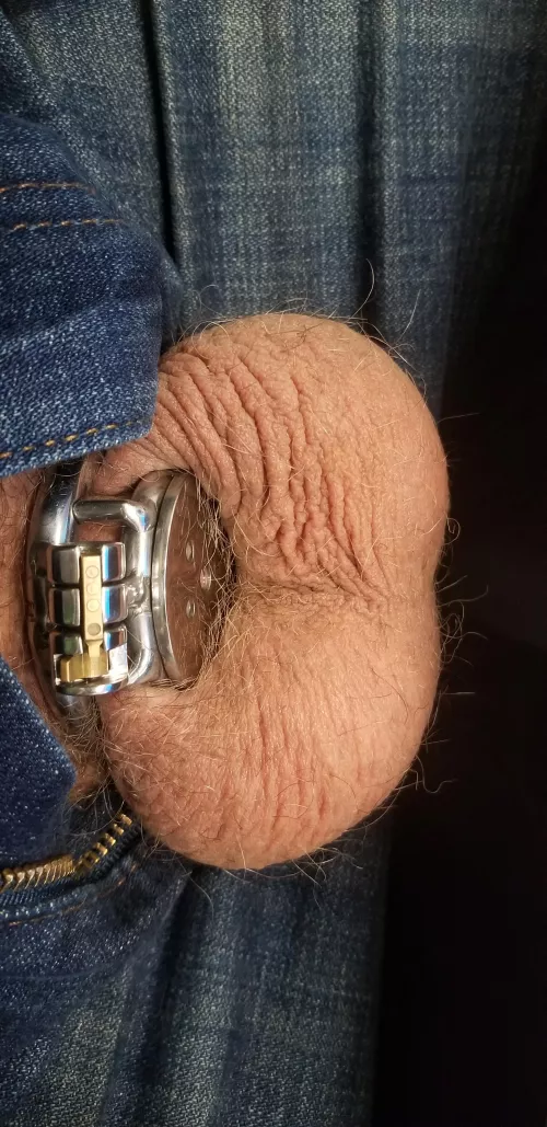 First day at work in my new cage. by LockedforGoddessNiq