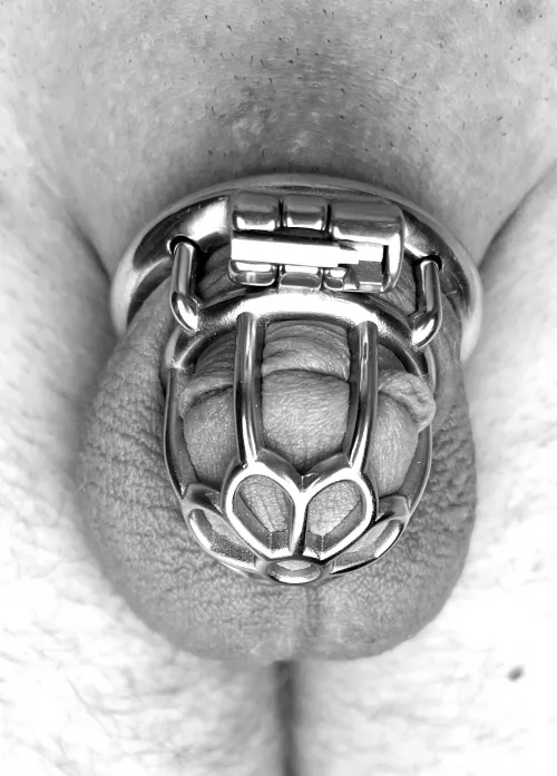 First day in metal!😊 by Cagedwars97