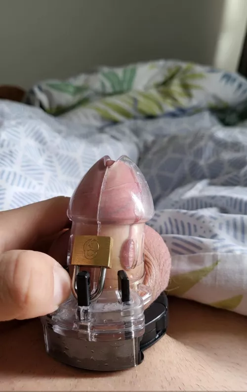 First Day locked in ^^ by thrwguy234