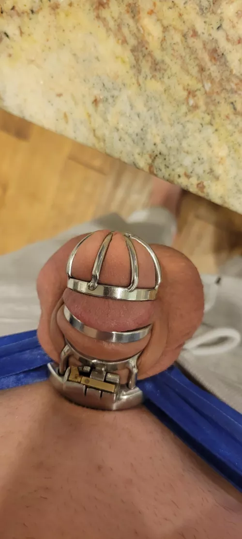 first day locked while wife goes away for the weekend to see her bull by MrRoxeAnnLynn