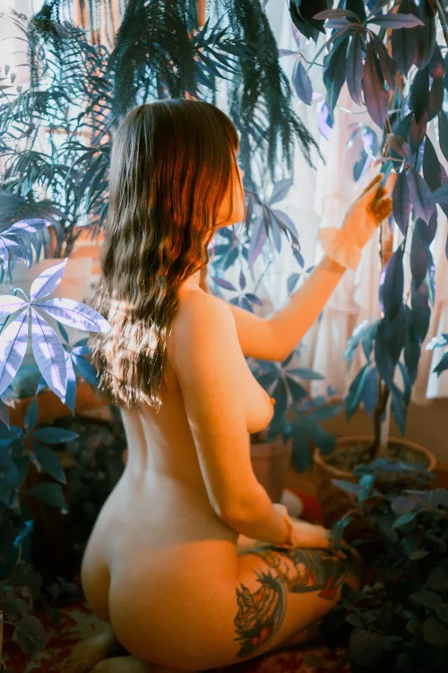 First days of Spring by cashtuesday