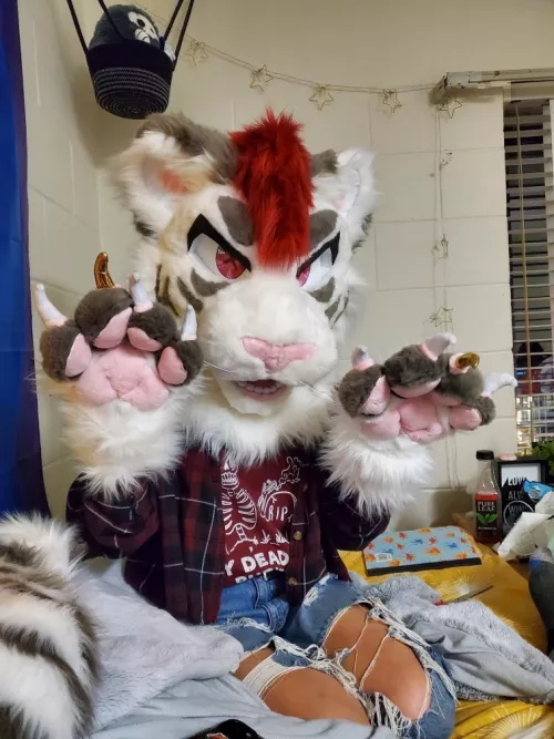 First Ever Fursuit!! by poplar_treez