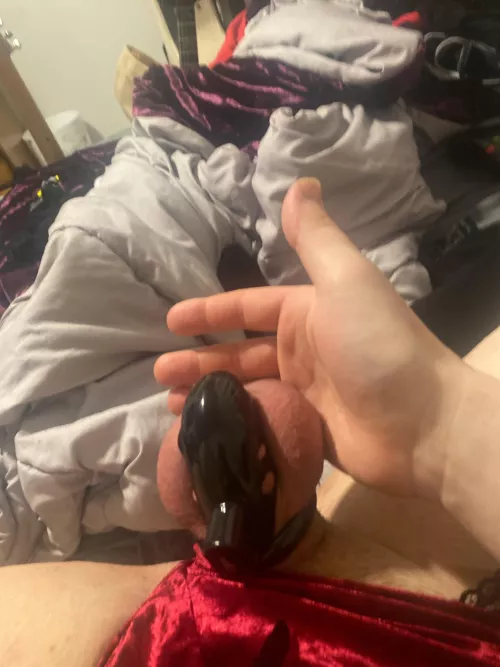 First out of 5 days down my balls are already starting to ache 🥵🥵🥵 this is so hard to ignore can I get some positive feedback to keep me in my place by quinn100000