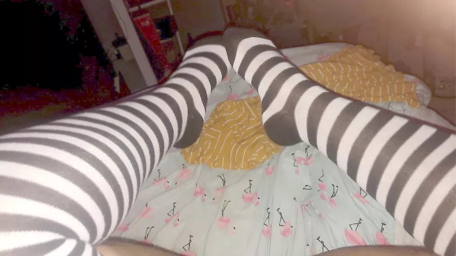 First pair of real thigh highs by Key-nebula-775