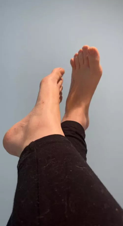 First pic picture ever, I always thought they were cute. by MissSofiaLips