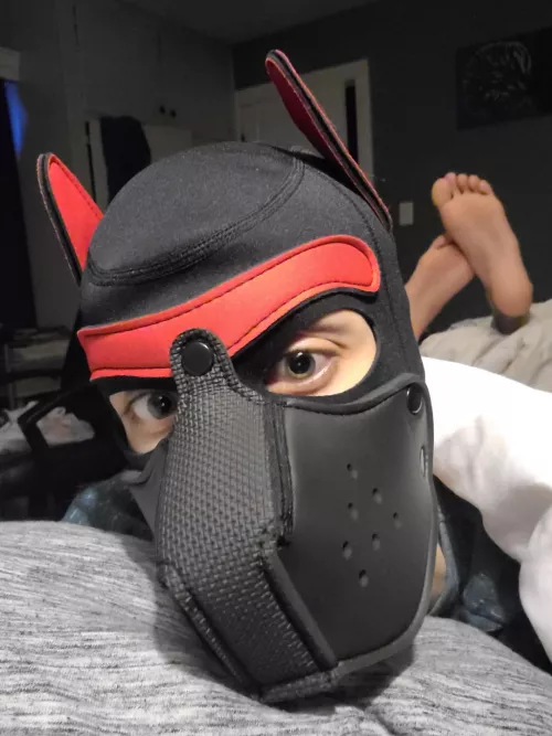 First post 😁 by VoxSilvaIsGay