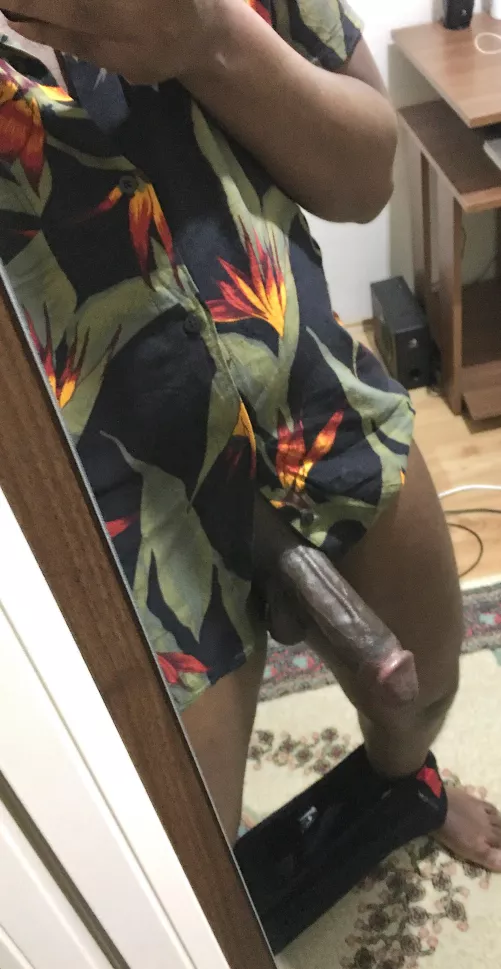 First post here😅. by No-Pilot-1672