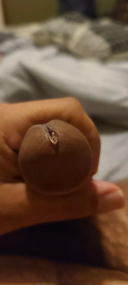 First post here hope it's ok! by toddster6969