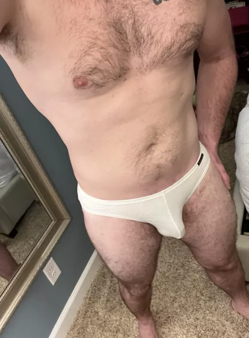 First post here :) My very brief briefs by hillhaul