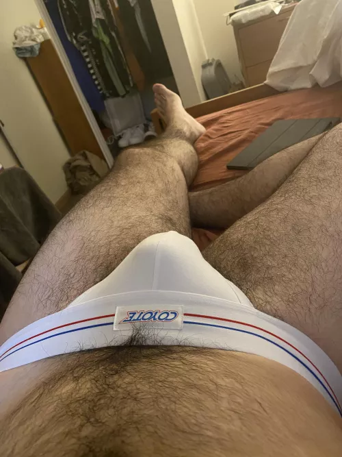 First post, new jock what do you think? by pup_alister