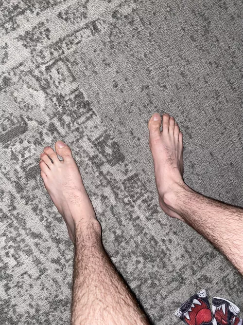 First post! by FreddieAlfredo