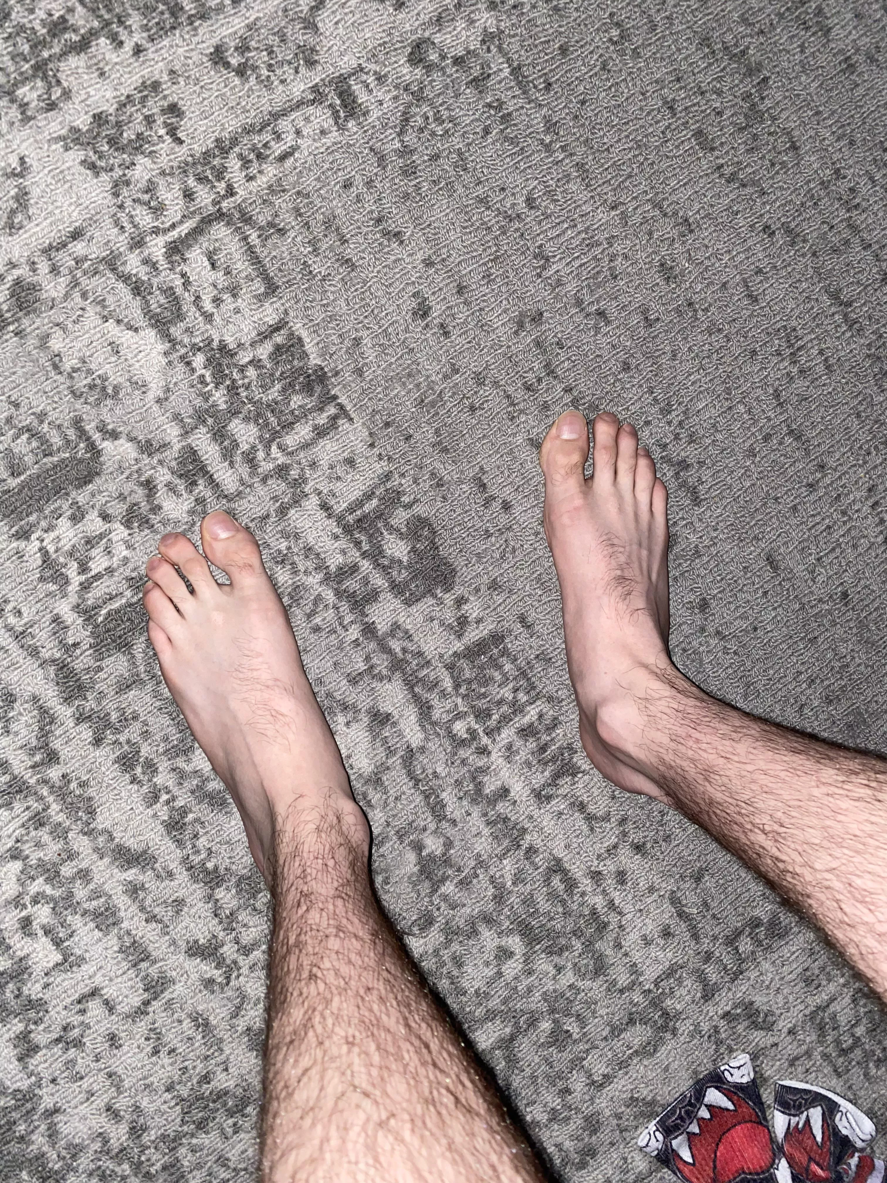 First post! posted by FreddieAlfredo