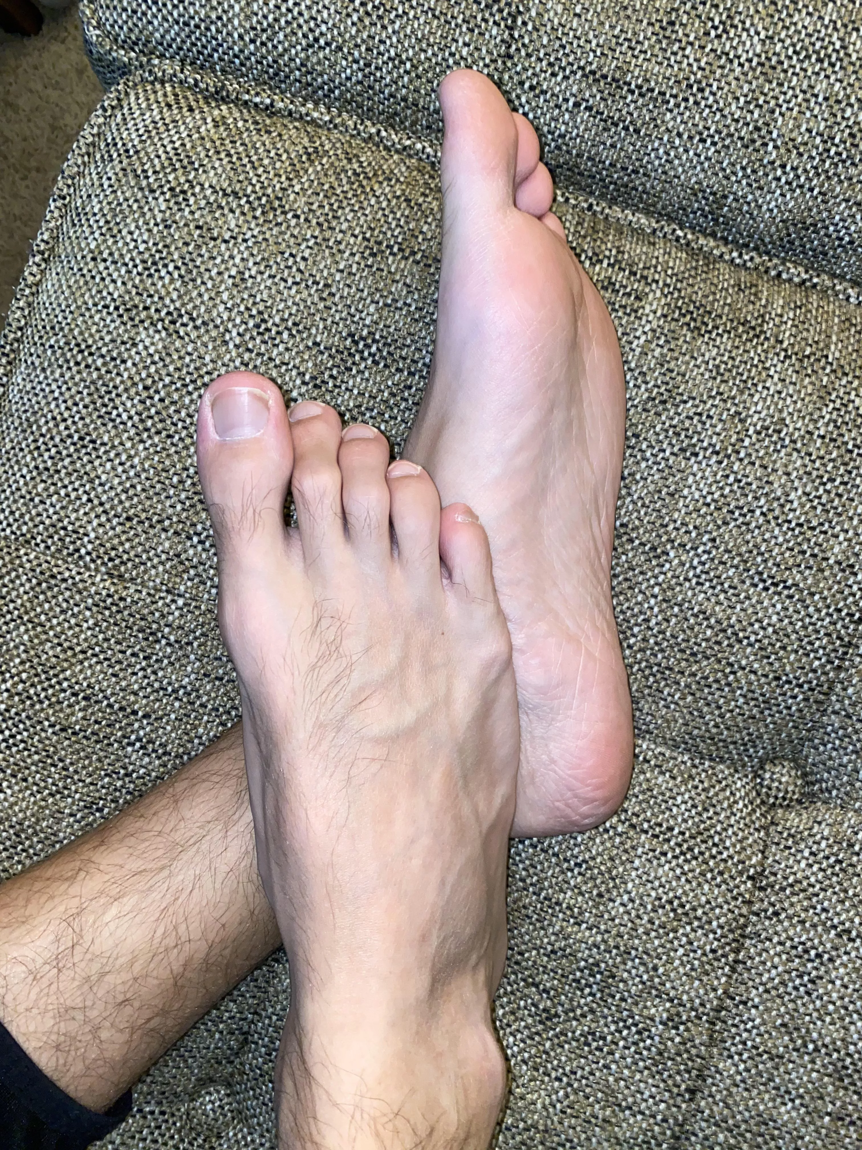 First post, who wants to urb them?  posted by respondsand