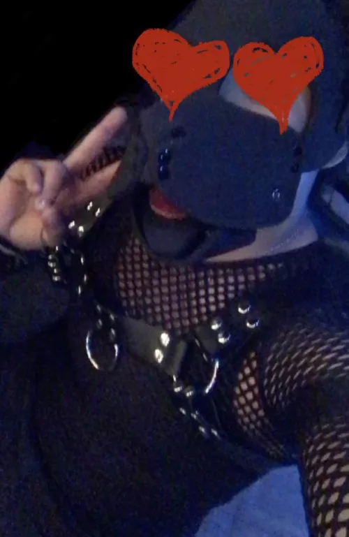 First reddit post~! Gonna get a new hood soon~ ^_^ by Hypersexual_FtM_Pup