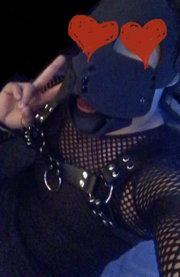 First reddit post~! Gonna get a new hood soon~ ^_^ posted by Hypersexual_FtM_Pup