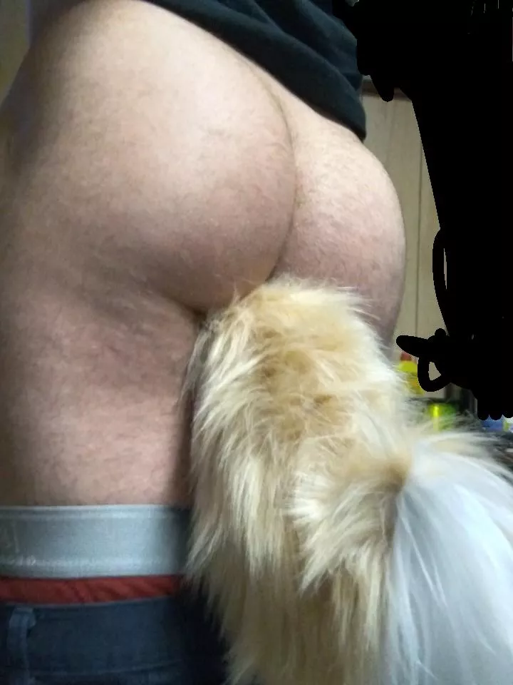 First Step In My Shiba Pup Outfit( A Cite Fluffy Tail) posted by SkynRoses
