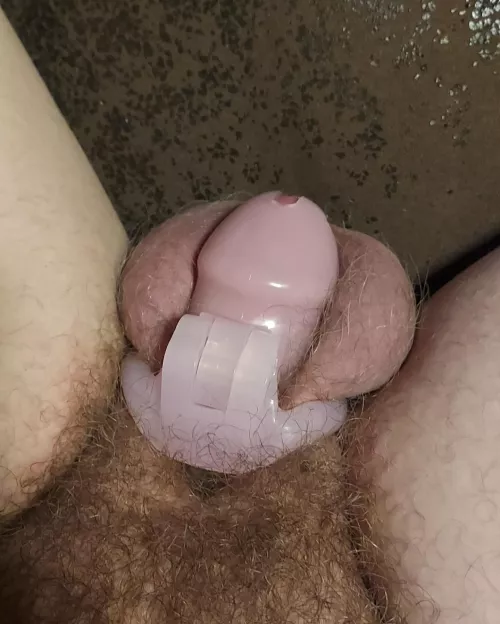 First time and I'm already dripping with cum... by Necessary-One1226