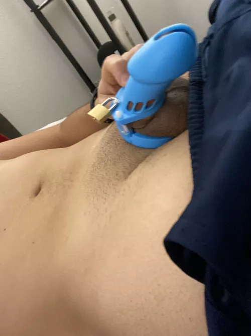 First time ever caged, I’m really enjoying it by CZDiego